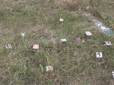 Energetska polja u Drenajiću