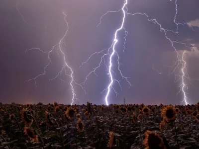 Evo 40 fotografija iz 4 kategorije RuralFoto izbora 2024.