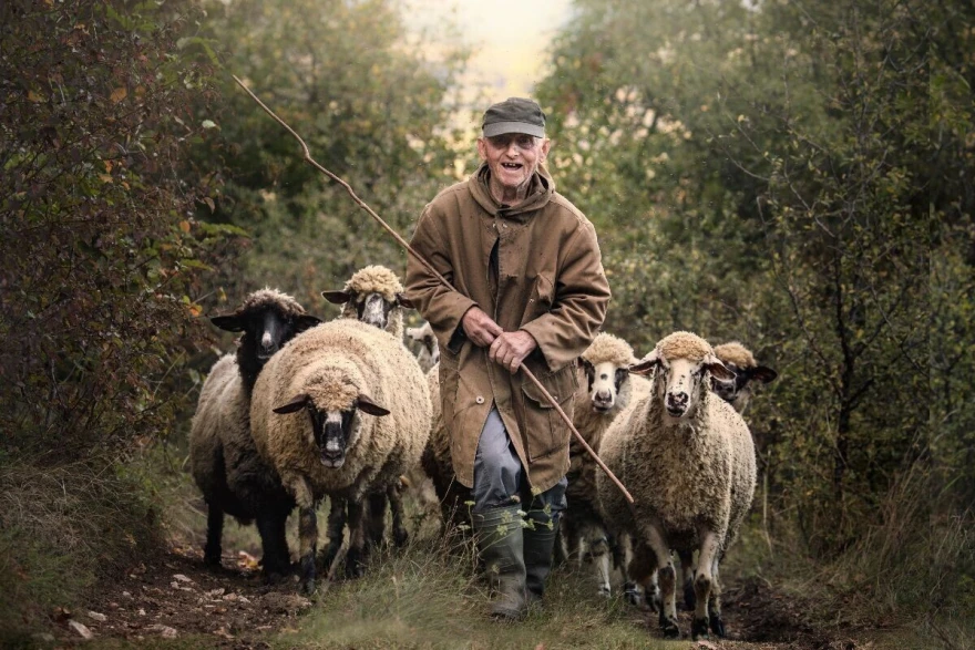 RuralFoto