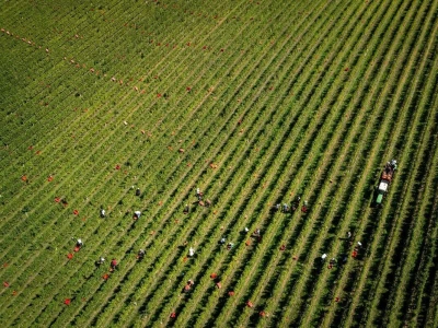 Evo 40 fotografija iz 4 kategorije RuralFoto izbora 2024.