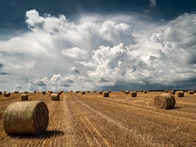 Evo 40 fotografija iz 4 kategorije RuralFoto izbora 2024.