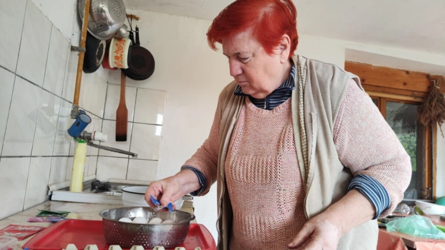 Dragica posipa farbu