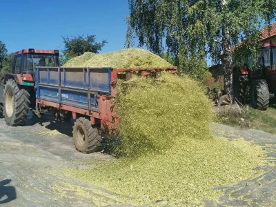 Farma Jelenković