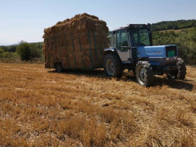 Farma Jelenković