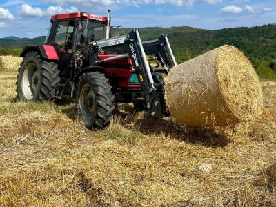 Farma Jelenković