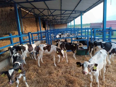 Farma Kovačević