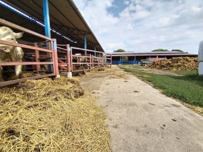 Farma Kovačević