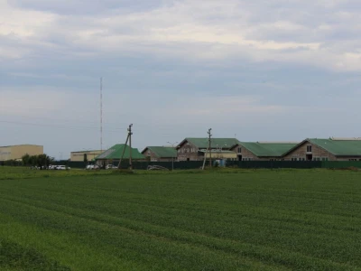 Farma Rosta, Rusija