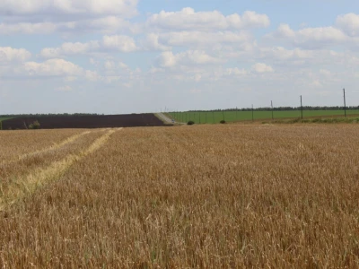 Farma Rosta, Rusija