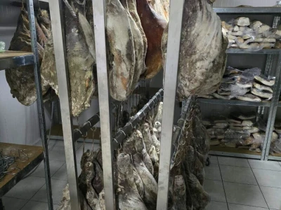 Farma svinja u Radovanju