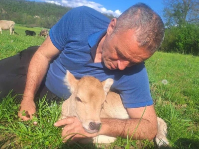 Farme buša, nubijske koze