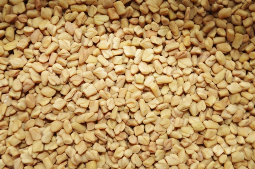 Piskavica