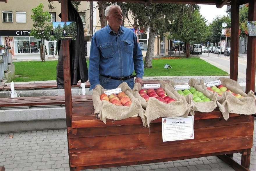Čolić
