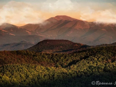 Fotografije Jelene Potrebić - pobednica RuralFoto 2024 u kategoriji selo