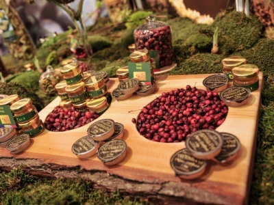 Fruit Logistika 2019