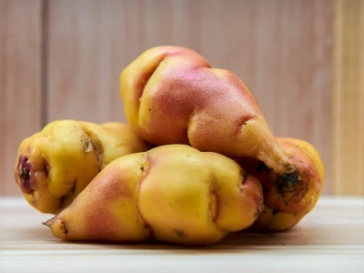 Fruit Logistika 2019