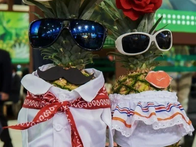 Fruit Logistika 2019