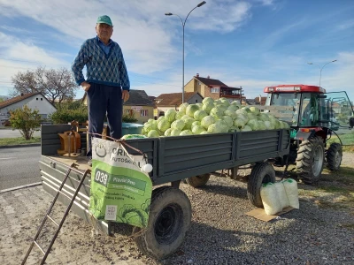 Futoški kupus