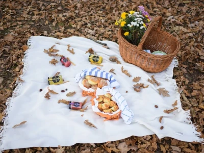 Gazdinstvo Stevanović raspolaže sa 130 pčelinjih društava