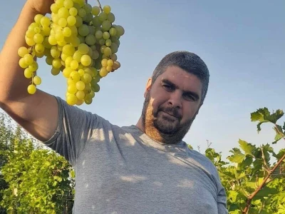 Glišići i ove godine izlagali najteže grozdove na Oplenačkoj berbi, foto: M. Lazarević