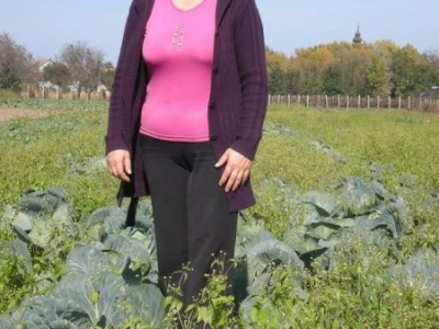 Gordana Šokšić