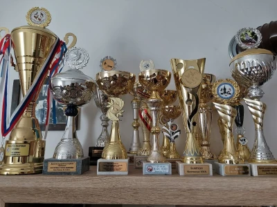Golubarstvo skup hobi ali pričinjava zadovoljstvo