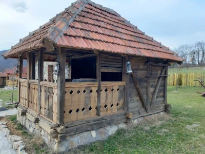 Goran na fontani