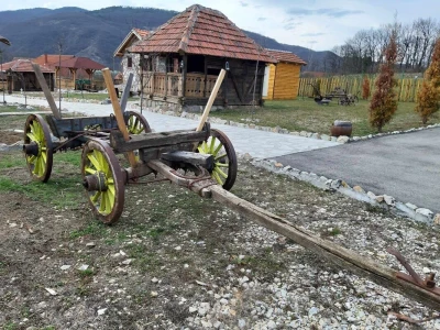 Goran na fontani