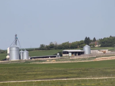 Govedarstvo Kanade