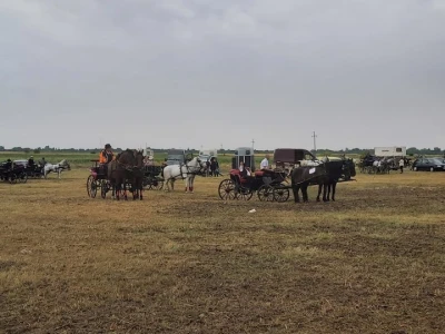 Gradištanska fijakerijada