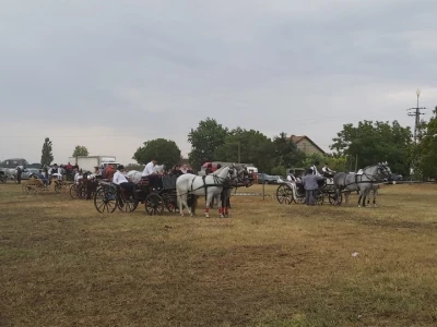 Gradištanska fijakerijada