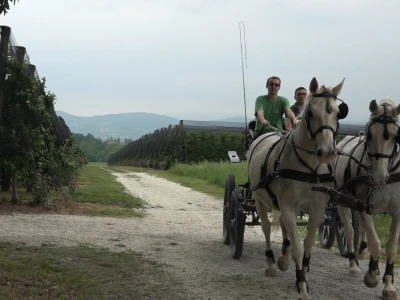 Gruža agrar 2022