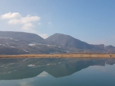 IMA LI KOZARSTVO ŠANSU U PODRINJU?