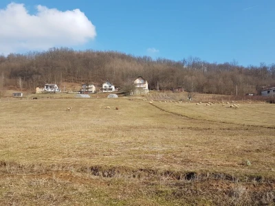 IMA LI KOZARSTVO ŠANSU U PODRINJU?