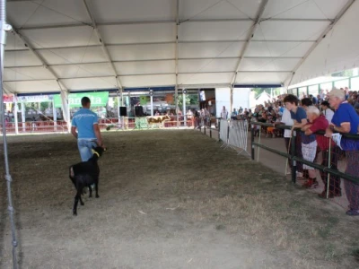 Sajam visokih postignuća - AGRA 2015