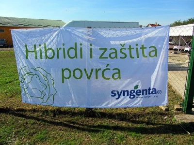 U Despotovu održan "Dan povrtara"