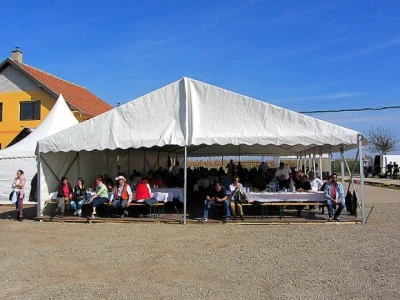 U Despotovu održan "Dan povrtara"