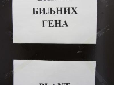 Banka biljnih gena