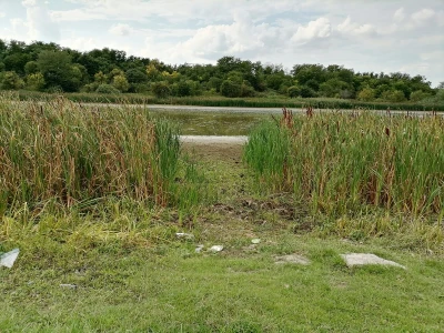 Akumulaciono jezero Ljukovo, Jarkovci