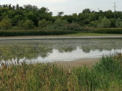 Akumulaciono jezero Ljukovo, Jarkovci