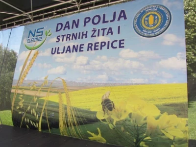 Dan polja pšenice