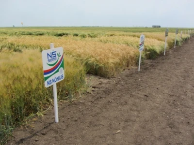 NS Seme - NS Nonius