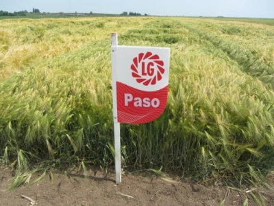 LG Paso