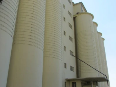 "Žitopromet", Senta