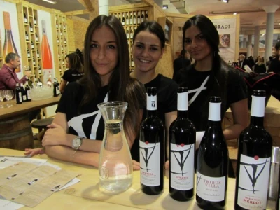 Štand vinarije "Toplički vinogradi"