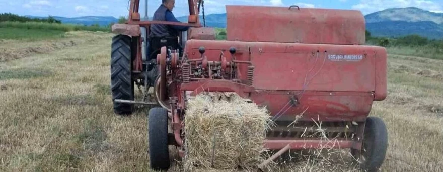 Baliranje lucerke