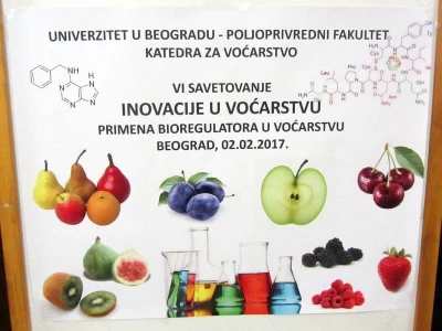 Plakat savetovanja