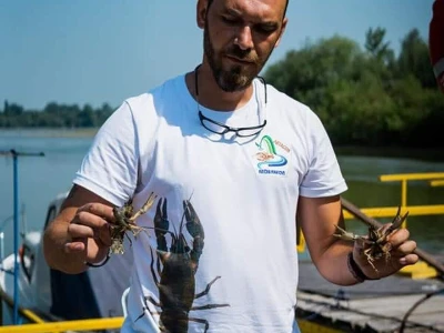 Invazivni rakovi