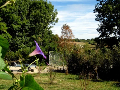 Irac pravi plastenik i sadi voće u Šumadiji!