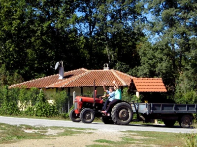 Irac pravi plastenik i sadi voće u Šumadiji!